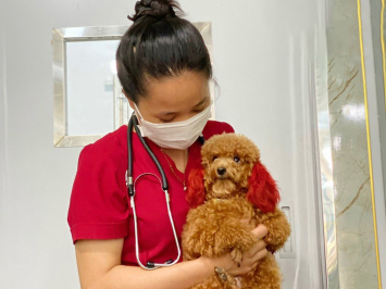 DỊCH VỤ TẠI NHÀ CHO PET
