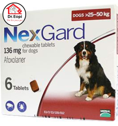 NEXGARD  Phòng và trị ve và bọ chét trên chó 25-50kg