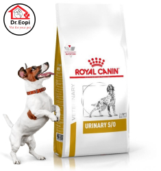 ROYAL CANIN - URINARY DOG/ THỨC ĂN VIÊN ĐIỀU TRỊ BỆNH THẬN CHO CHÓ 2KG