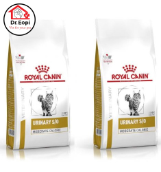 Thức ăn royal canin URINARY S/O 400g - hỗ trợ sức khỏe đường tiết niệu và bàng quang cho Mèo