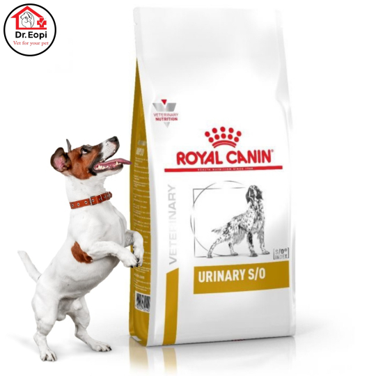 ROYAL CANIN - URINARY DOG/ THỨC ĂN VIÊN ĐIỀU TRỊ BỆNH THẬN CHO CHÓ 2KG